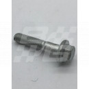 Bolt M6 x 30 sliver colour Image for Bolt M6 x 30 sliver colour