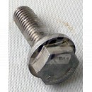 Screw flanged head M8 X 25mm Stainless steel Image for Screw flanged head M8 X 25mm Stainless steel