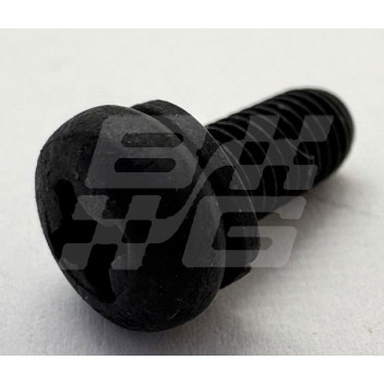 Image for SCREW