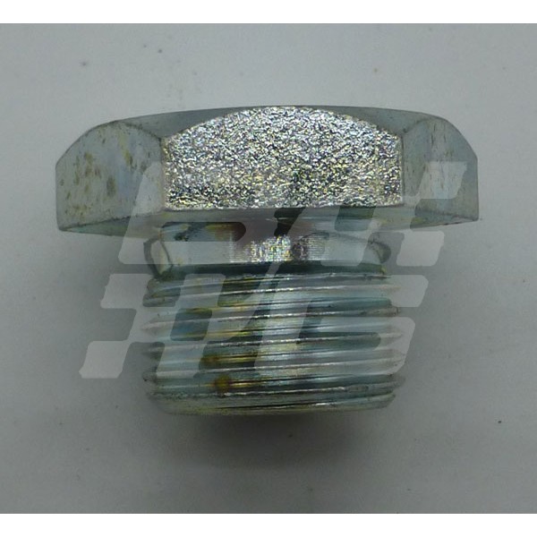 Image for Manifold blanking plug