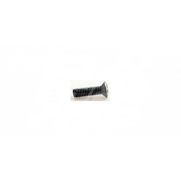 Image for Chrome headlamp rim screw TD-MGA