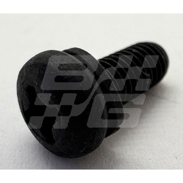 Image for SCREW